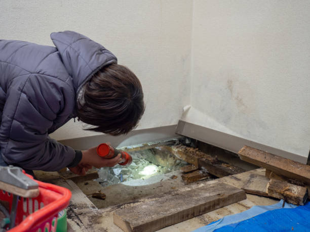 Best Mold Remediation for Vacation Homes  in Thermalito, CA