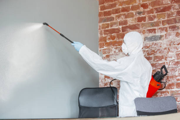 Best Mold Remediation for Healthcare Facilities  in Thermalito, CA