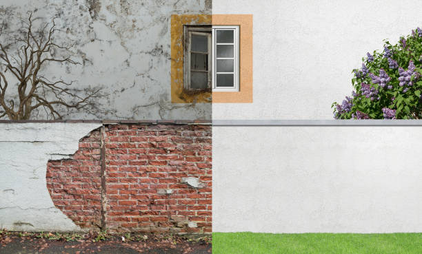 Best Black Mold Removal  in Thermalito, CA