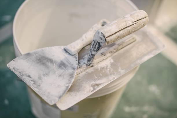 Best Mold-Related Health Consultation  in Thermalito, CA